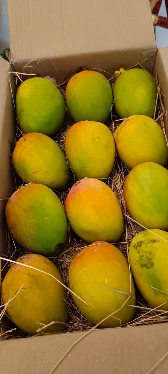 Anwar Ratol Premium Mangoes (8kg Box)